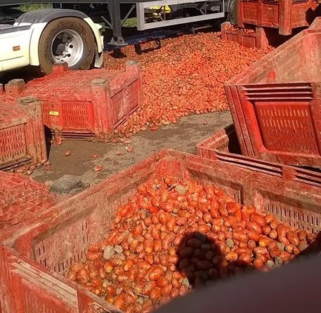Pescara - invasione di pomodori su autostrada A/14 © ANSA