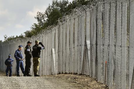 Il muro tra Serbia e Ungheria © AP