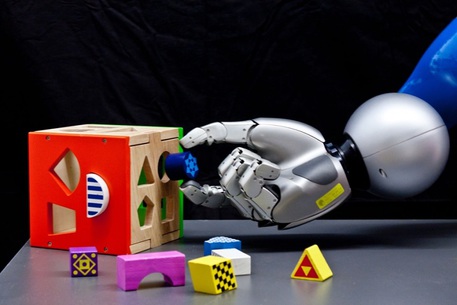 n arrivo i primi robot 'curiosi', come bambini di 2 anni (fonte: Istituto di Tecnologie e Scienze Cognitive del Cnr) © Ansa
