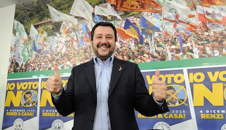 Matteo Salvini in conferenza il giorno dopo il referendum © ANSA