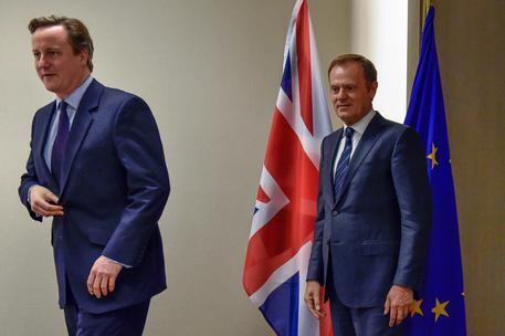 Il primo ministro britannico David Cameron ed il presidente del Consiglio europeo, Donald Franciszek Tusk © EPA