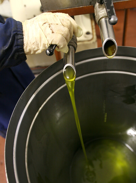 Spillatura di olio d'oliva in un'immagine d'archivio © ANSA