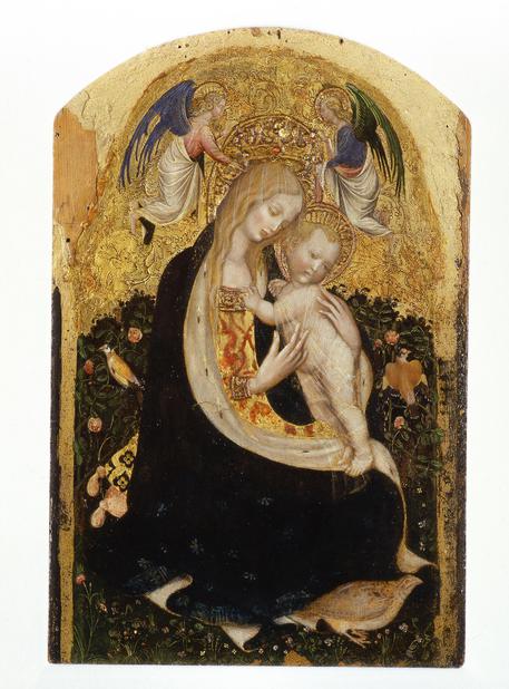 Antonio Pisano detto Pisanello, Madonna col bambino, detta Madonna della quaglia, tempera su tavola © ANSA