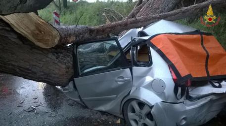 Maltempo: albero su auto ad Ardea (Roma), 2 morti © ANSA