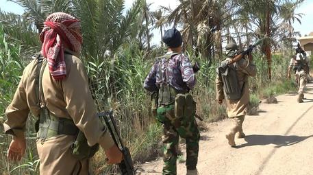 Isis: tv, accanita resistenza a Falluja, uccisi 10 soldati © AP