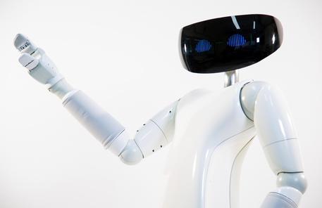 Pronto R1, il robot progettato per entrare nelle case (fonte: D.Farina-A.Abrusci/ IIT) © ANSA