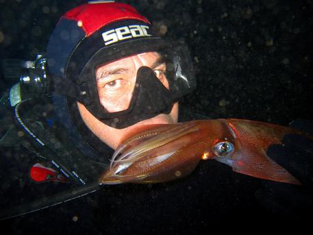Mauro Cammardella, titolare, a Palinuro, del centro diving Mauro Sub, uno dei tre sub morti a Palinuro. © ANSA
