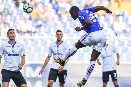 Duvan Zapata segna il gol dell'1-1 per la Sampdoria © ANSA