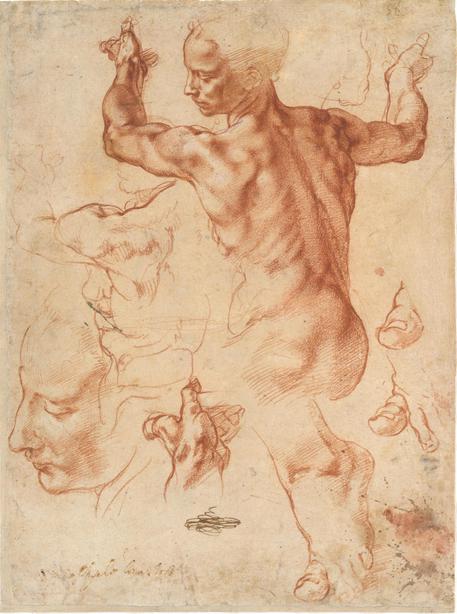 Michelangelo - Il Sogno--The Dream_Courtauld Gallery_London © ANSA