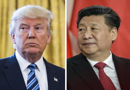 Donald J. Trump (s) e  Xi Jinping © ANSA 