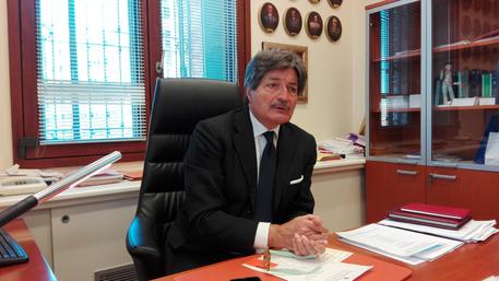 Il procuratore distrettuale Adelchi d'Ippolito © ANSA