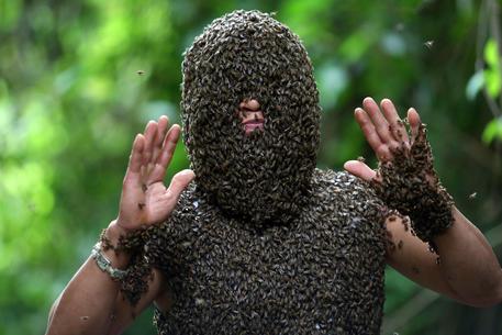 Bui Duy Nhat ricoperto da migliaia di api selvatiche © EPA