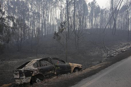 Incendio in Portogallo © AP