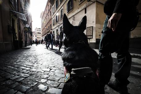 Foto d'archivio di un controllo di sicurezza nei pressi di Piazza di spagna a Roma © ANSA