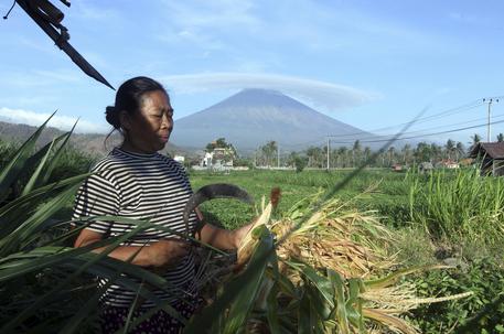Vulcano Indonesia, esodo per 75.000 persone © AP