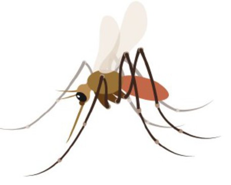 Un emoji zanzara, petizione per inserirlo in smartphone © Ansa