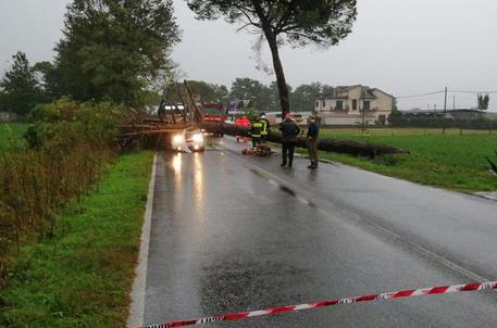 Albero su auto, 2 morti in provincia di Frosinone © ANSA