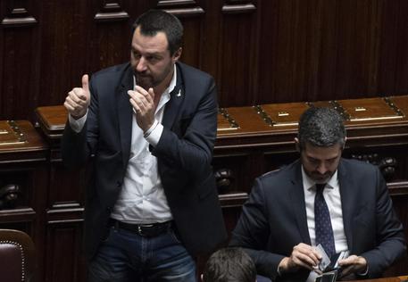 Matteo Salvini dopo l'ok al dl sicurezza © ANSA