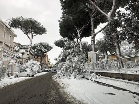 Le strade vicino piazza Euclide coperte dalla neve a Roma © ANSA
