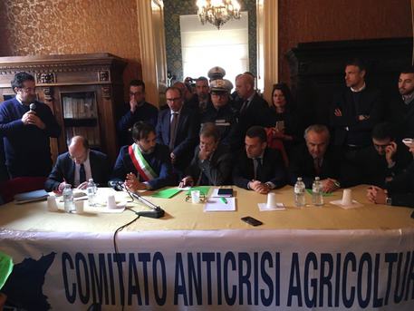 L'incontro Musumeci e il Comitato anticrisi agricoltura © Ansa