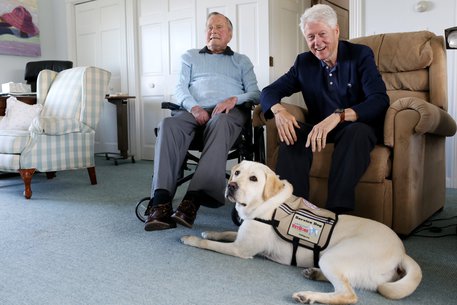 Usa: ex presidente George H. W. Bush presenta nuovo membro della famiglia, un labrador © ANSA