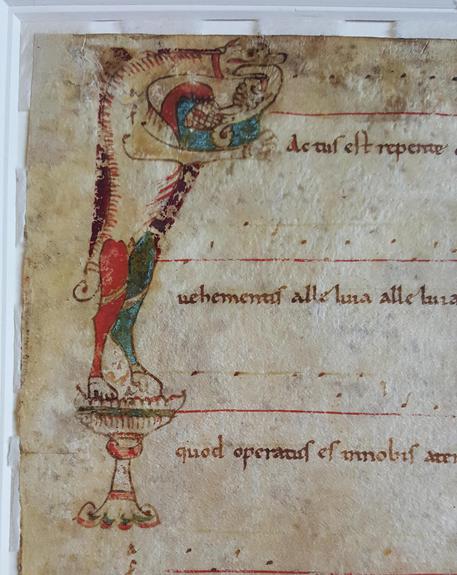 Un particolare della pergamena  medioevale ritrovata a Pavia © ANSA