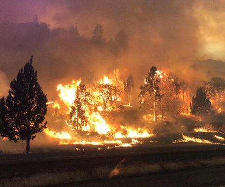 Gli incendi stanno devastando la  California © EPA