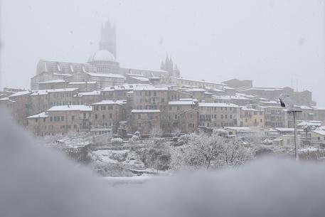 Maltempo: neve a Siena dalle prime ore dell'alba © ANSA