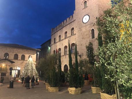 Natale Assisi © ANSA