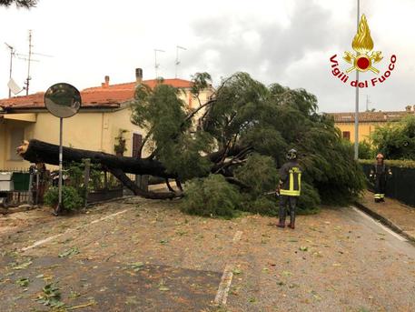 I danni provocati dal violento temporale abbattutosi sulle Marche, Ancona, il 9 luglio © ANSA
