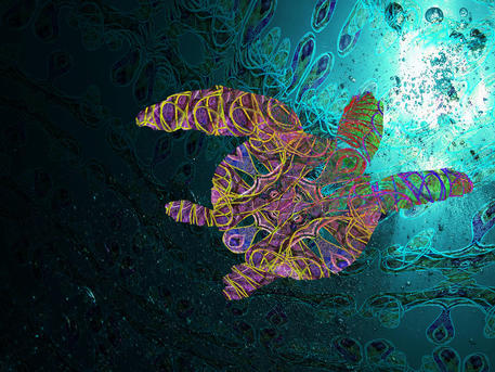 Le orme sull'acqua- Net Turtle, collage fotografico digitale, stampa fine art con inchiostri ecologici UV © ANSA