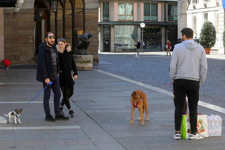 Amici a passeggio con il cane si parlano  a distanza di sicurezza © ANSA 