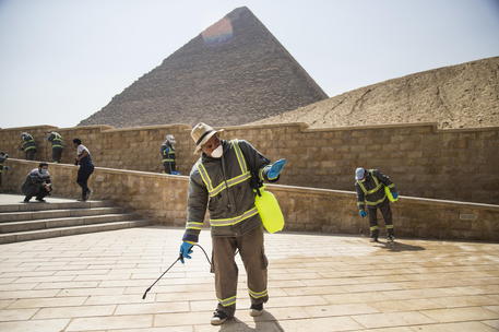Disinfestazione nell'area delle Piramidi, al Cairo © EPA