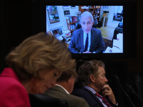 Anthony Fauci in videoconferenza con il Senato Usa © ANSA 