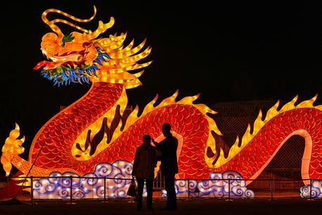 La  lanterna del drago in un parco a Wuhan, in Cina, per i festeggiamenti del Capodanno lunare © AFP
