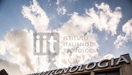 IIT Fondazione Istituto Italiano di Tecnologia (ANSA)