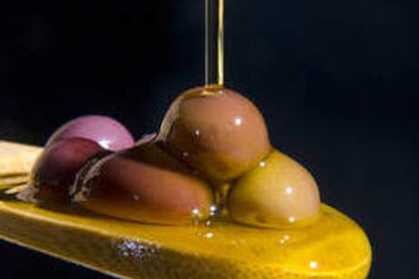 El aceite de oliva virgen es beneficioso para la salud (ANSA)