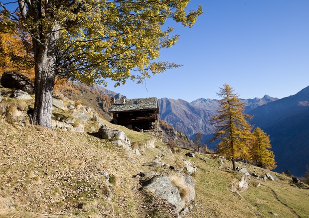 Valle d'Aosta - Vallone di San Grato Issime (foto Enrico Romanzi) © ANSA