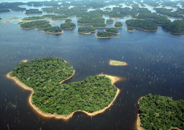 Isole bacino Amazzonia. foto di Eduardo M. Venticinque © Ansa