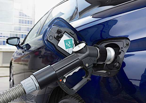 Auto: entro novembre norme per rivoluzione idrogeno Italia © Toyota