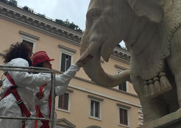 Tecnici al lavoro per restaurare l'elefante di piazza della Minerva © ANSA