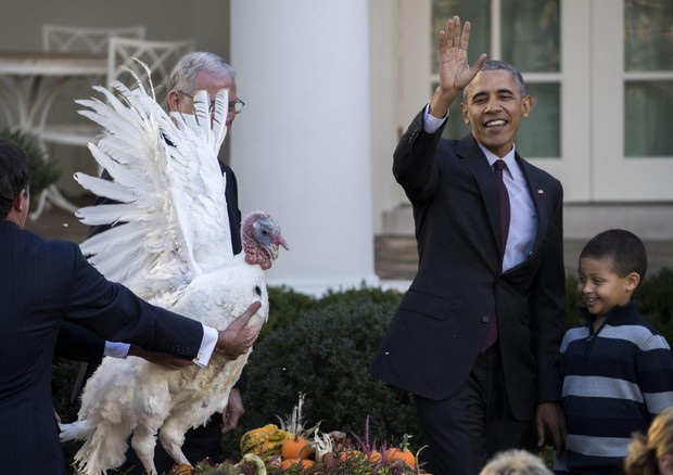 US President Barack Obama pardons the National Thanksgiving Turkey during a ceremony in the Rose Garden (foto: EPA)