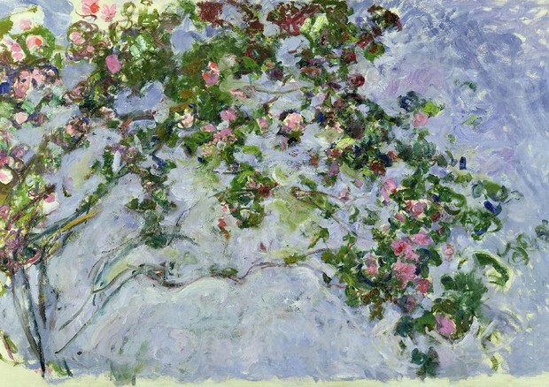 The Roses, 1925-26 (oil on canvas) Monet, Claude (1840-1926) MUSEE MARMOTTAN MONET,  PARIS (ANSA)