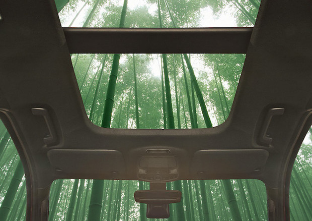 Ford sperimenta bambù per componenti auto © Ford