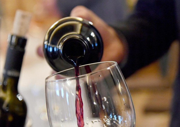 Coldiretti, record ricavi vino Italia, 10,6 mld (foto: ANSA)