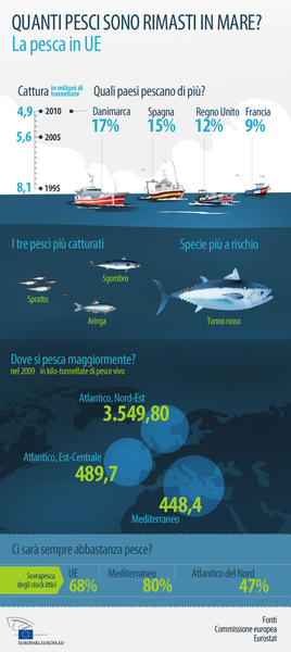 Infografica sulla pesca del Parlamento europeo. credits: European Parliament 2013