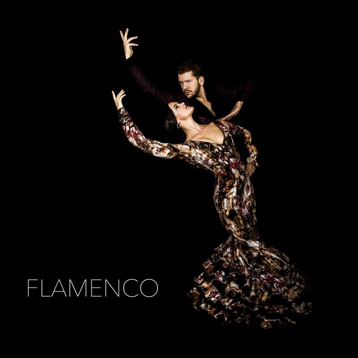 Danza: il flamenco in scena al Teatro L'Idea di Sambuca - ANSA.it