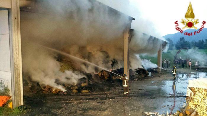 Incendio divampa ad Avigliana - ANSA.it