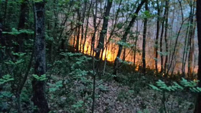 Incendi: in fiamme bosco sopra Terlano - ANSA.it