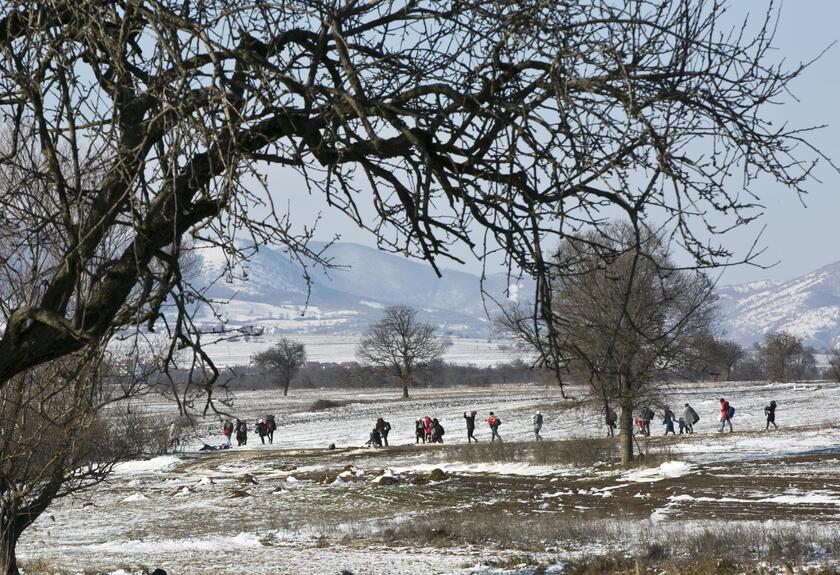 Migrants walking from Macedonia to Serbia © ANSA/AP